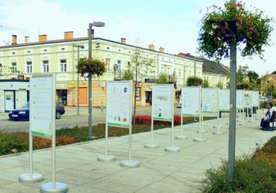 Dwadzieścia metrów edukacji ekologicznej ENERIS na Placu Tadeusza Kościuszki
