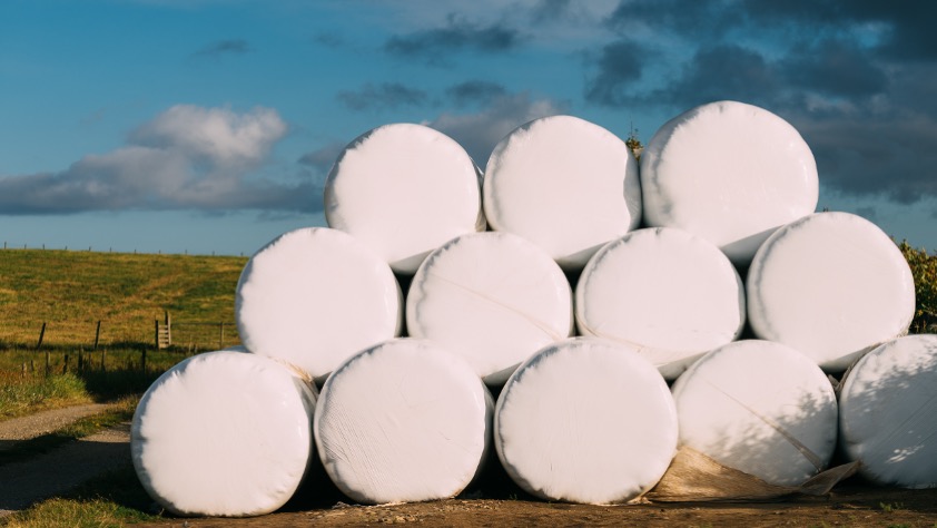 Bela sianokiszonki owinięta folią rolniczą przeznaczoną do recyklingu w ENERIS Grabplast