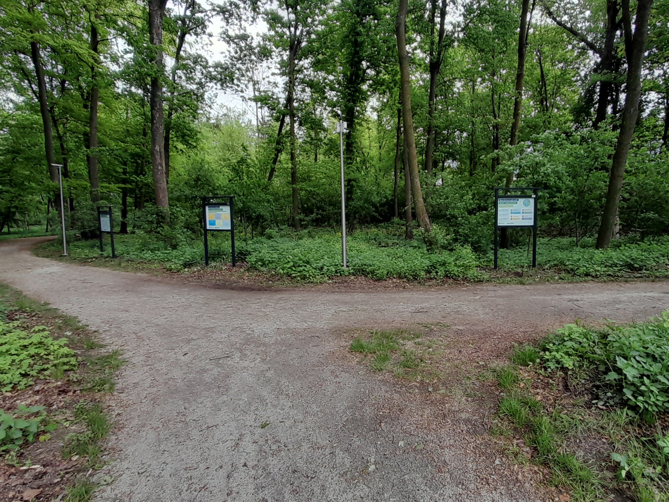 Grüne Bildungszone im Herzen des historischen Parks in Fijewo